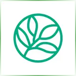 Evergreen Valley College